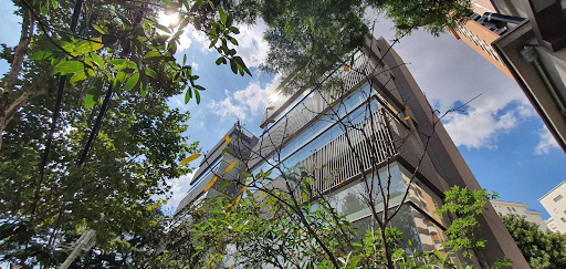 fachada de prédio por trás de galhos de uma árvore